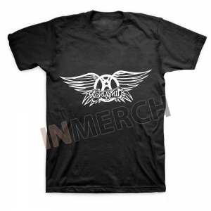 Мужская футболка Aerosmith