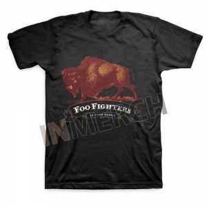 Мужская футболка Foo Fighters